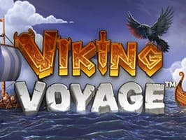 Viking Voyage screenshot