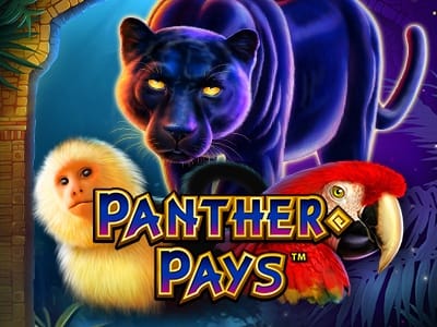 Panther Pays screenshot